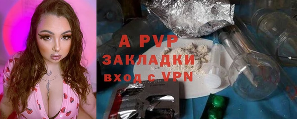 a pvp Новозыбков