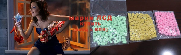 соль ск Новодвинск