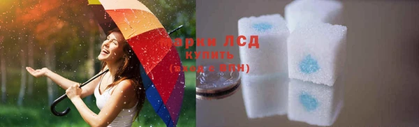a pvp Новозыбков