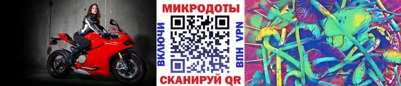 Псилоцибиновые грибы мухоморы Облучье