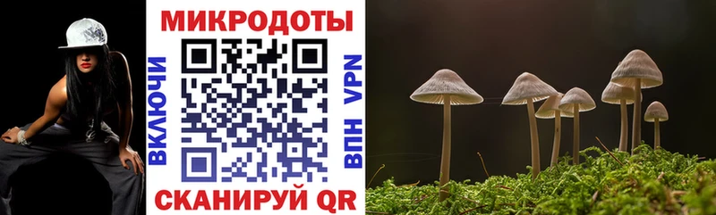 Галлюциногенные грибы Psilocybe  Облучье 